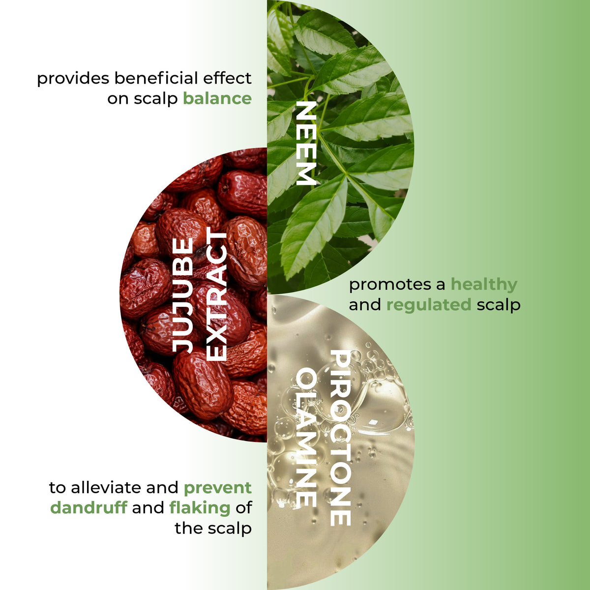 Neem losion protiv peruti