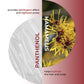 Hamamelis Shampoo
