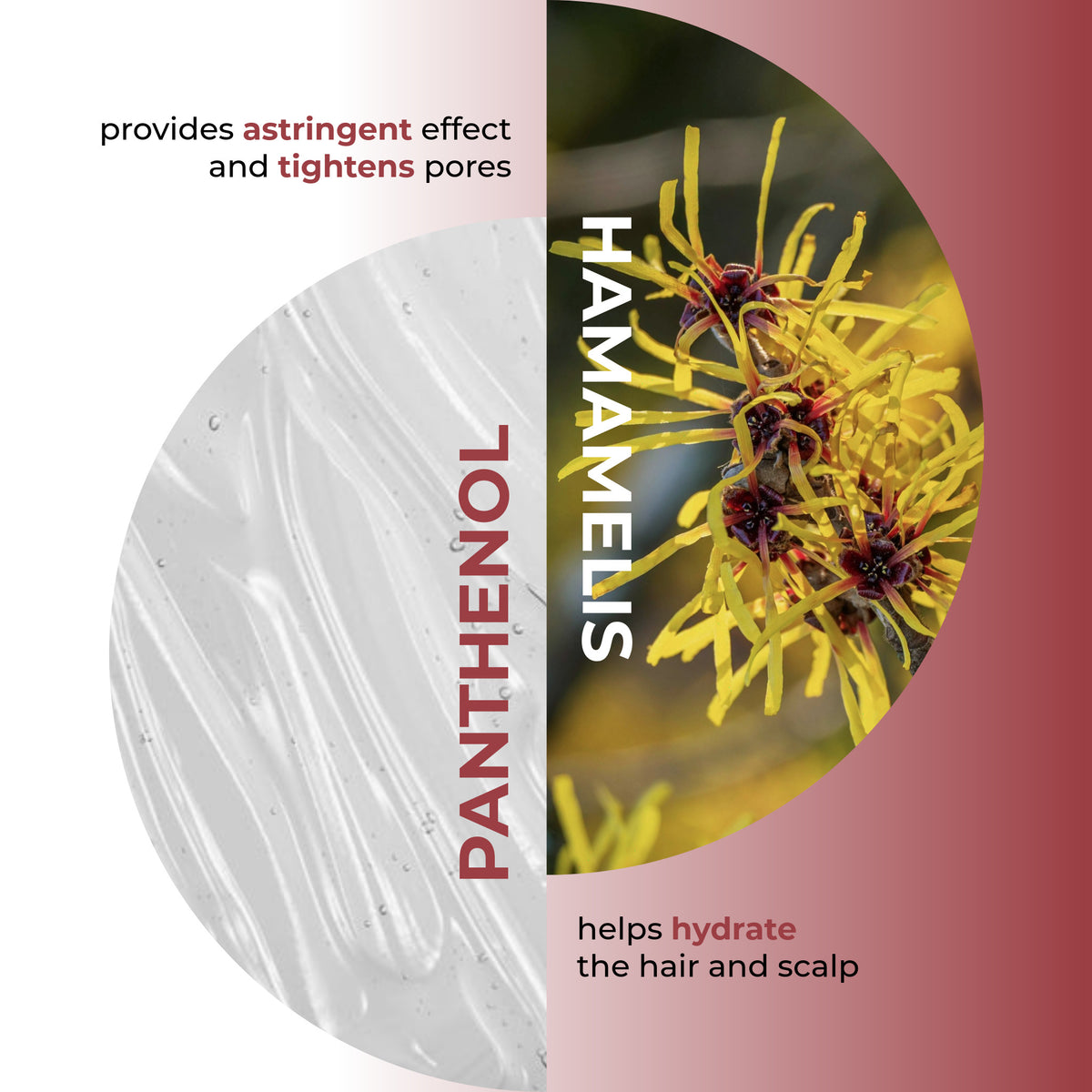 Hamamelis Shampoo